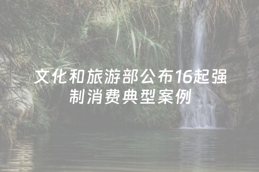 文化和旅游部公布16起强制消费典型案例