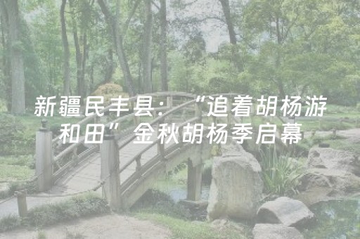 新疆民丰县：“追着胡杨游和田”金秋胡杨季启幕