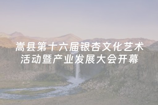 嵩县第十六届银杏文化艺术活动暨产业发展大会开幕 银杏“链”上文旅 醉染烂漫金秋