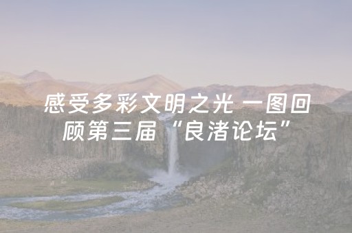 感受多彩文明之光 一图回顾第三届“良渚论坛”