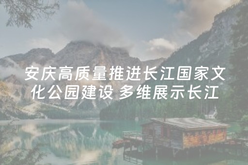 安庆高质量推进长江国家文化公园建设 多维展示长江文明