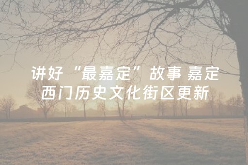 讲好“最嘉定”故事 嘉定西门历史文化街区更新