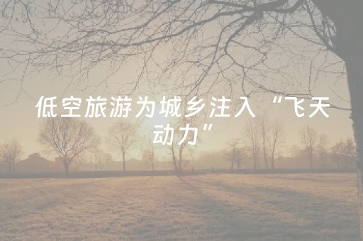 低空旅游为城乡注入“飞天动力”