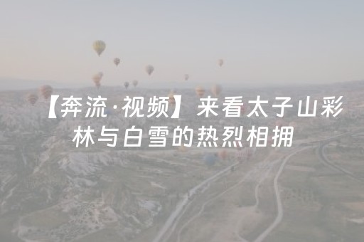 【奔流·视频】来看太子山彩林与白雪的热烈相拥