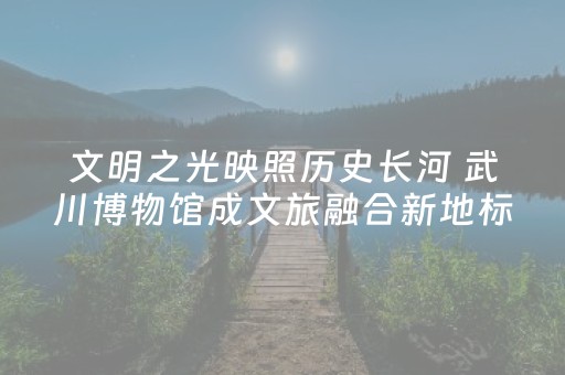 文明之光映照历史长河 武川博物馆成文旅融合新地标