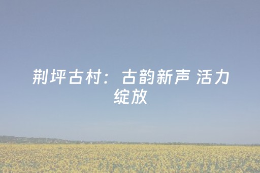 荆坪古村：古韵新声 活力绽放