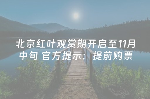 北京红叶观赏期开启至11月中旬 官方提示：提前购票、错峰游览