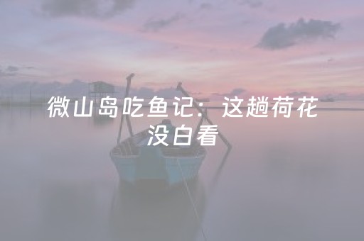 微山岛吃鱼记：这趟荷花没白看，鱼更是香到孩子都破戒！