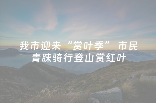 我市迎来“赏叶季” 市民青睐骑行登山赏红叶