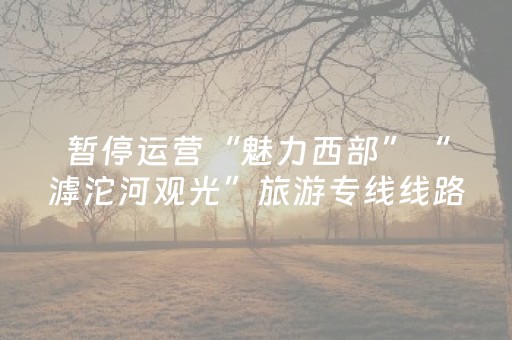 暂停运营“魅力西部”“滹沱河观光”旅游专线线路
