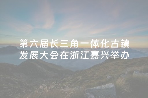 第六届长三角一体化古镇发展大会在浙江嘉兴举办