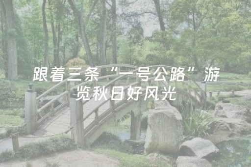 跟着三条“一号公路”游览秋日好风光
