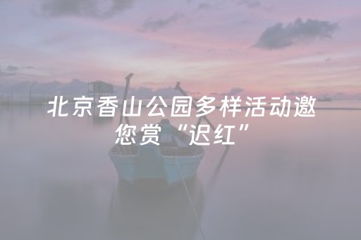 北京香山公园多样活动邀您赏“迟红”