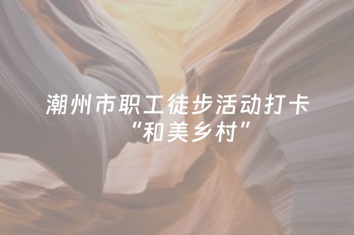 潮州市职工徒步活动打卡“和美乡村”