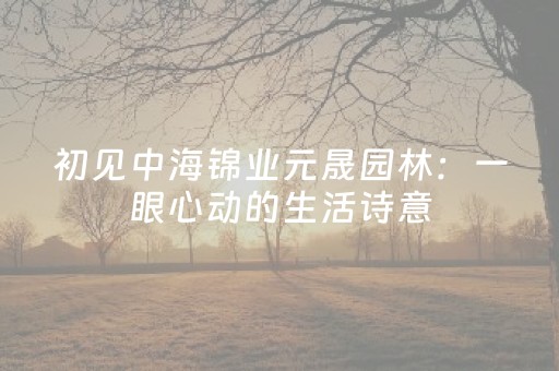 初见中海锦业元晟园林：一眼心动的生活诗意