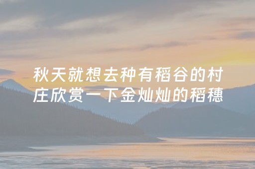 秋天就想去种有稻谷的村庄欣赏一下金灿灿的稻穗。