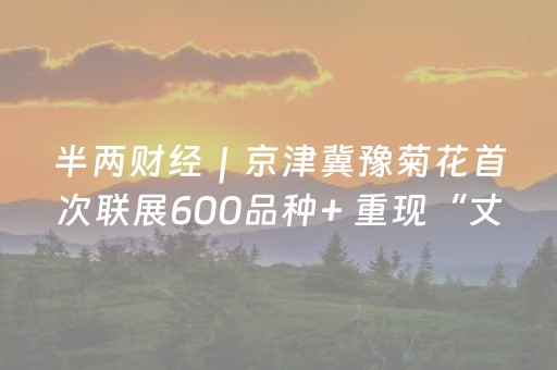半两财经｜京津冀豫菊花首次联展600品种+ 重现“丈菊”