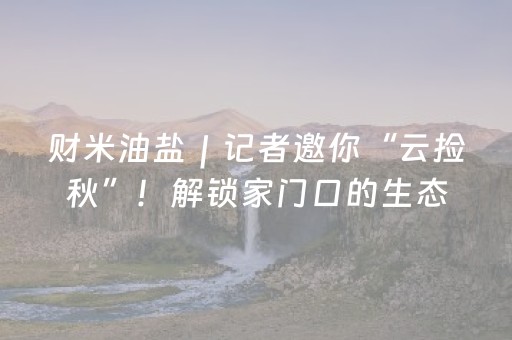 财米油盐｜记者邀你“云捡秋”！解锁家门口的生态美