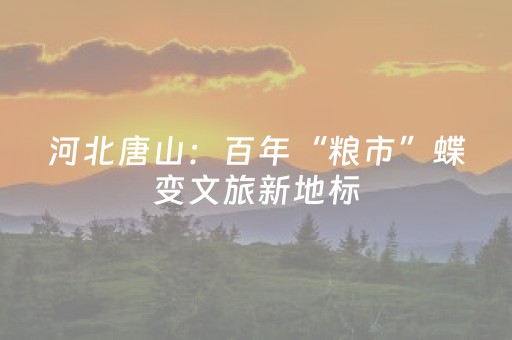 河北唐山：百年“粮市”蝶变文旅新地标