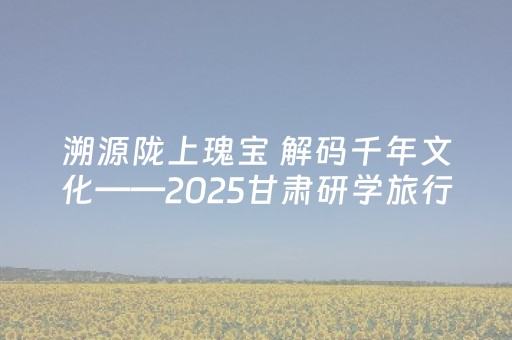 溯源陇上瑰宝 解码千年文化——2025甘肃研学旅行大会