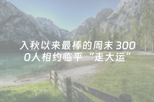 入秋以来最棒的周末 3000人相约临平“走大运”
