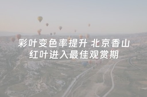 彩叶变色率提升 北京香山红叶进入最佳观赏期