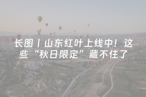 长图丨山东红叶上线中！这些“秋日限定”藏不住了