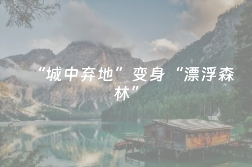 “城中弃地”变身“漂浮森林”