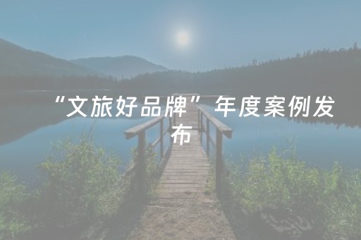“文旅好品牌”年度案例发布