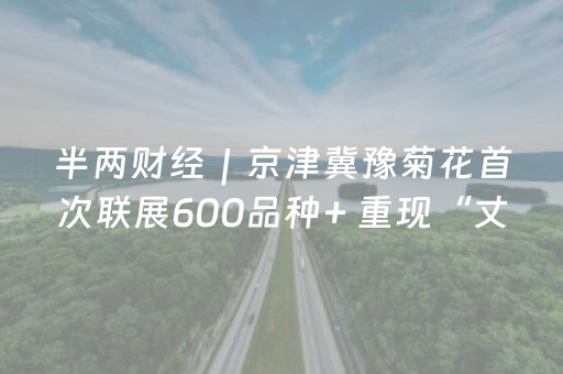 半两财经｜京津冀豫菊花首次联展600品种+ 重现“丈菊”