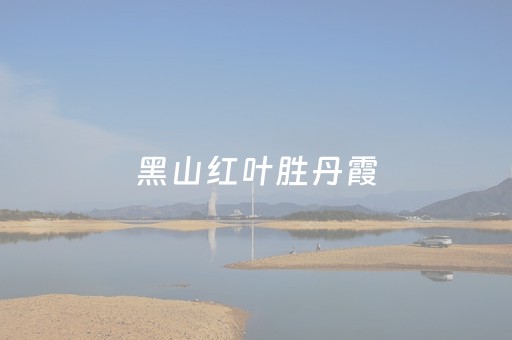黑山红叶胜丹霞