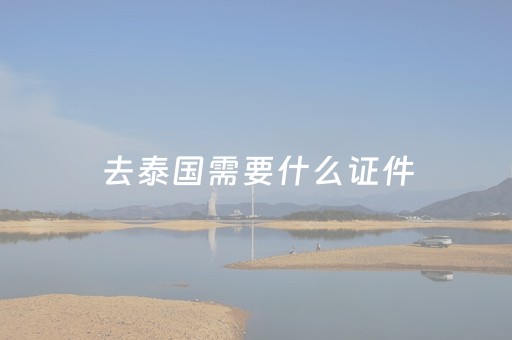 去泰国需要什么证件（泰国签证费用多少钱）