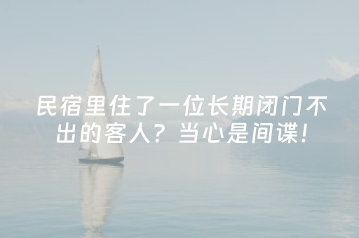 民宿里住了一位长期闭门不出的客人？当心是间谍！