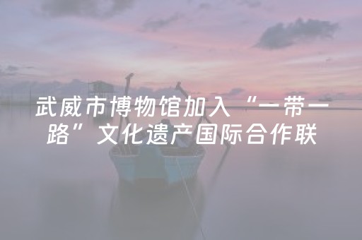 武威市博物馆加入“一带一路”文化遗产国际合作联盟