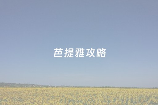 芭提雅攻略（芭提雅攻略自述）