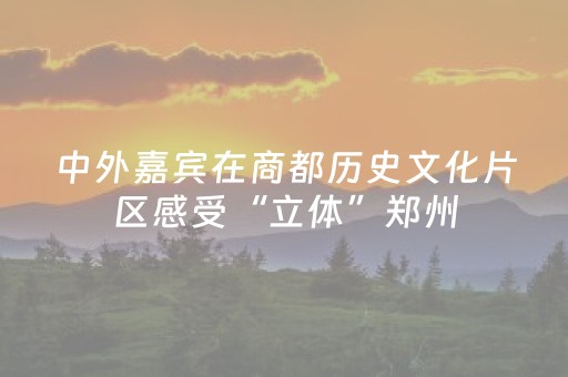 中外嘉宾在商都历史文化片区感受“立体”郑州