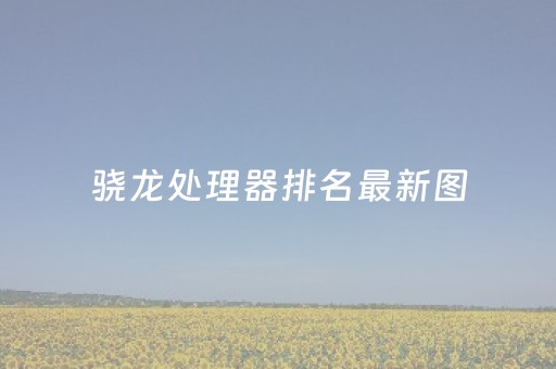 骁龙处理器排名最新图（骁龙处理器排名最新图表）