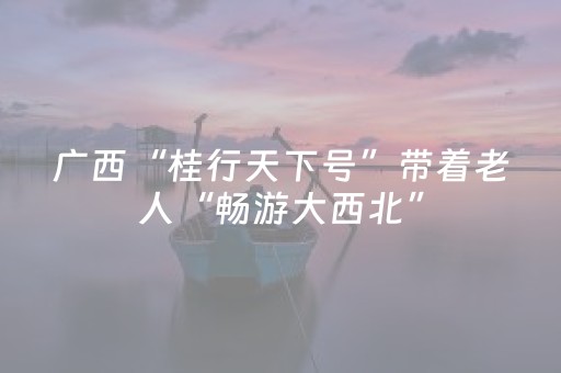 广西“桂行天下号”带着老人“畅游大西北”