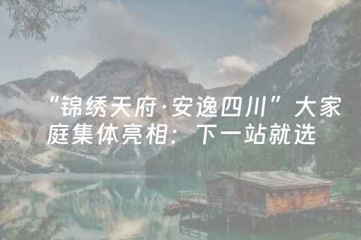 “锦绣天府·安逸四川”大家庭集体亮相：下一站就选TA