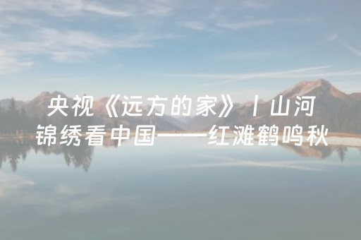 央视《远方的家》丨山河锦绣看中国——红滩鹤鸣秋色浓