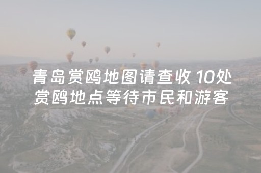 青岛赏鸥地图请查收 10处赏鸥地点等待市民和游客打卡