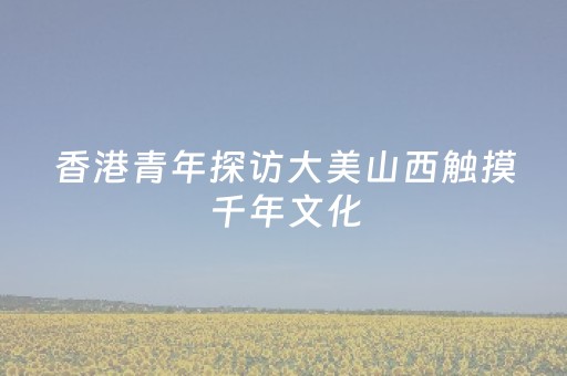 香港青年探访大美山西触摸千年文化