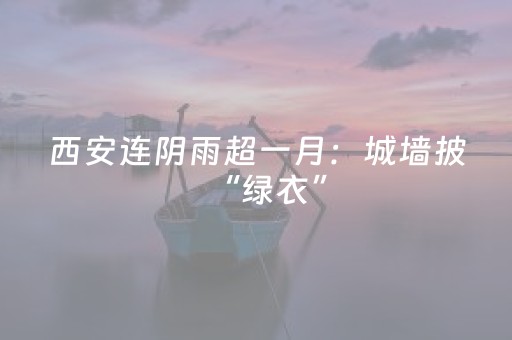 西安连阴雨超一月：城墙披“绿衣”，遍地冒蘑菇的古都日常