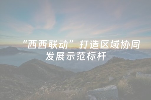 “西西联动”打造区域协同发展示范标杆