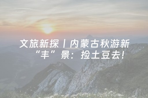 文旅新探丨内蒙古秋游新“丰”景：捡土豆去！