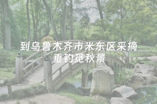到乌鲁木齐市米东区采摘垂钓觅秋景