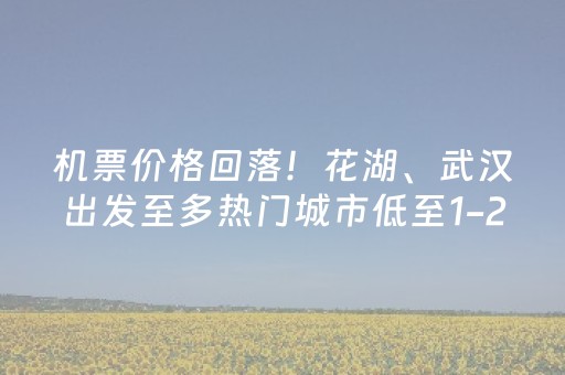机票价格回落！花湖、武汉出发至多热门城市低至1-2折
