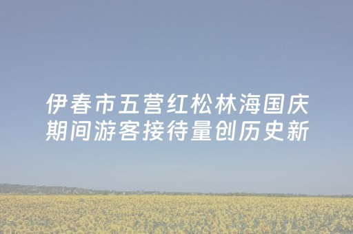伊春市五营红松林海国庆期间游客接待量创历史新高