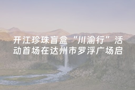 开江珍珠盲盒“川渝行”活动首场在达州市罗浮广场启幕