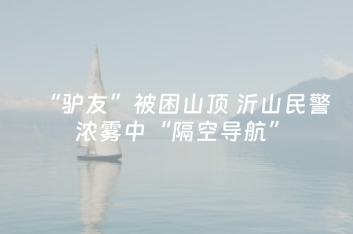 “驴友”被困山顶 沂山民警浓雾中“隔空导航”